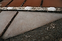 Kanary_2010 195